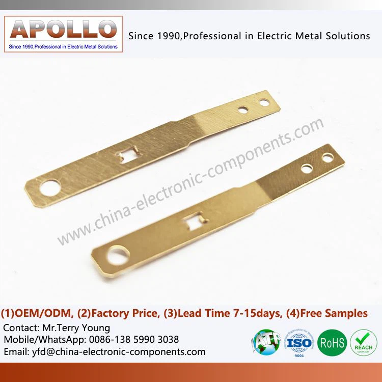 Beryllium Copper Flat Spring